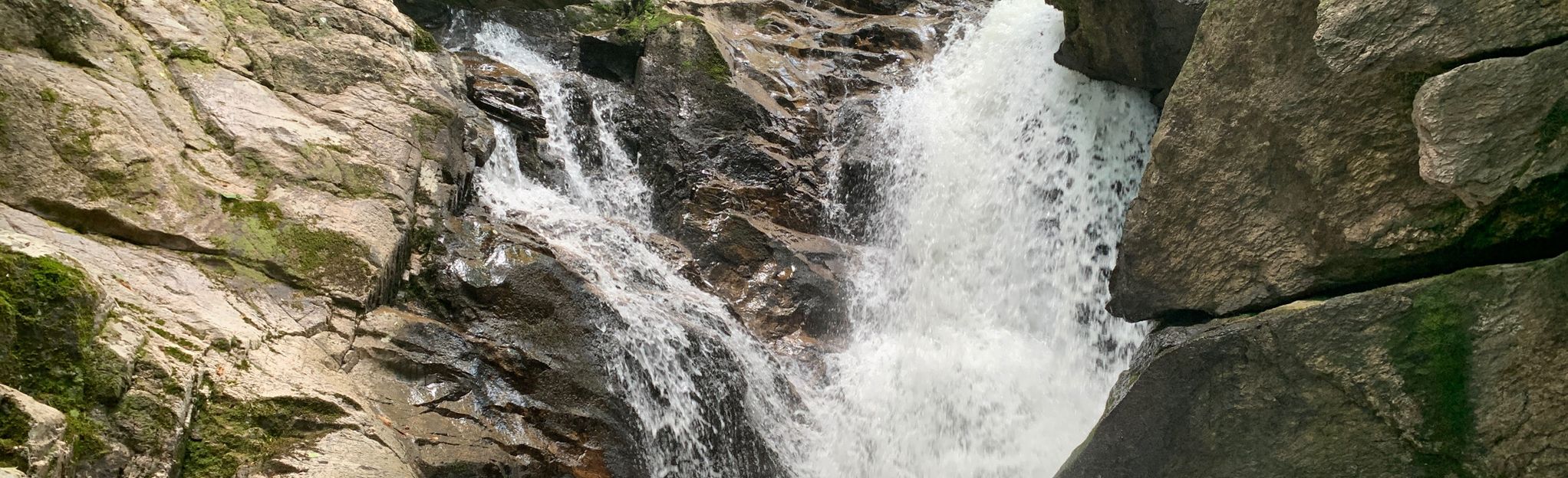 Laurel Fork Trail to Upper Laurel Fork Falls - Tennessee | AllTrails