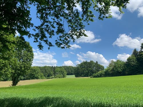 Frankenweg Etappe 9: Heiligenstadt - Wiesenttal