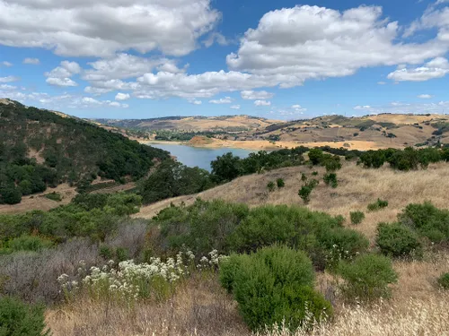 10 Best Trails and Hikes in Morgan Hill | AllTrails