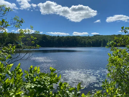 10 Best Hikes and Trails in Appalachian National Scenic Trail | AllTrails