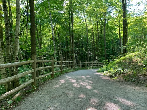 Jefferson forest 2025 mountain biking