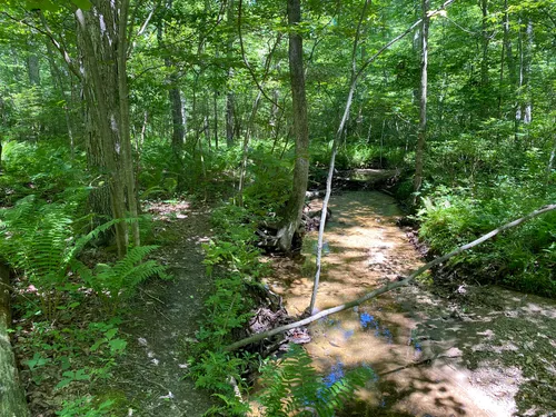 10 Best Trails and Hikes in Boiling Springs | AllTrails