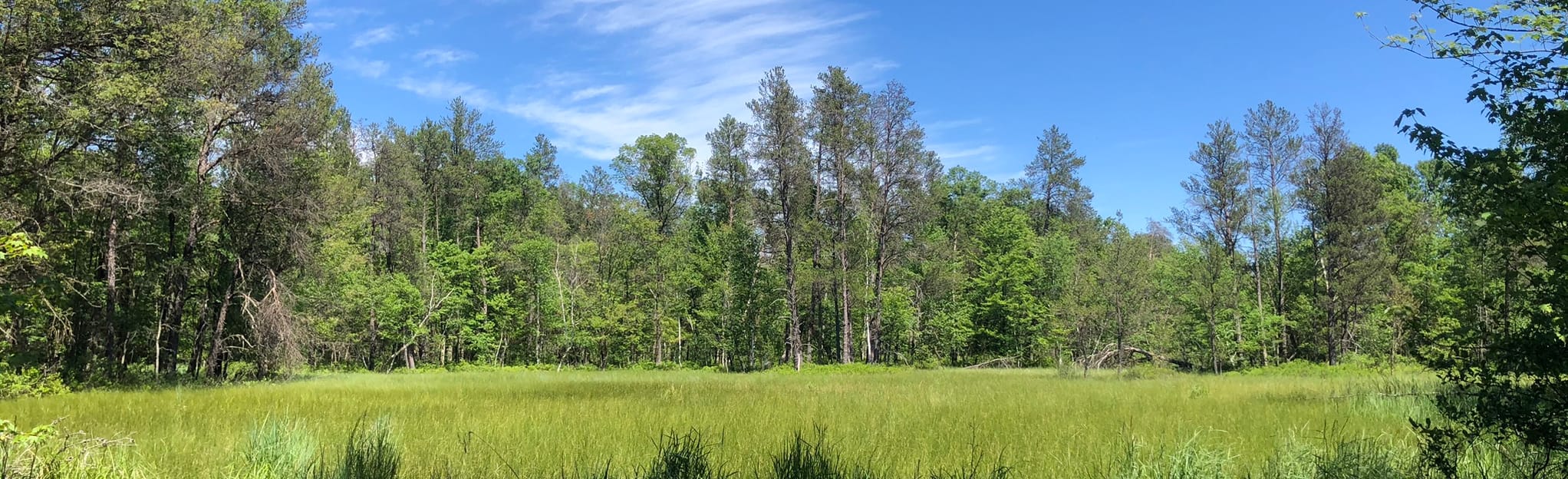 Lone Rock Trail Map, Guide Wisconsin AllTrails