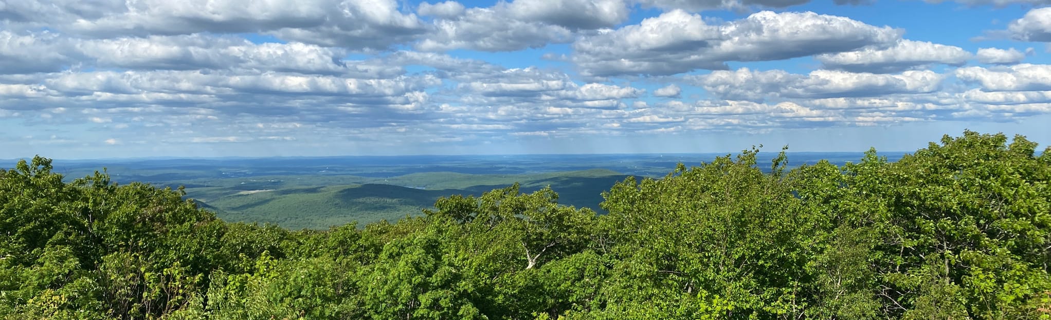 Jack Frost, Mountain House, and Link Trail, Massachusetts 292 Reviews