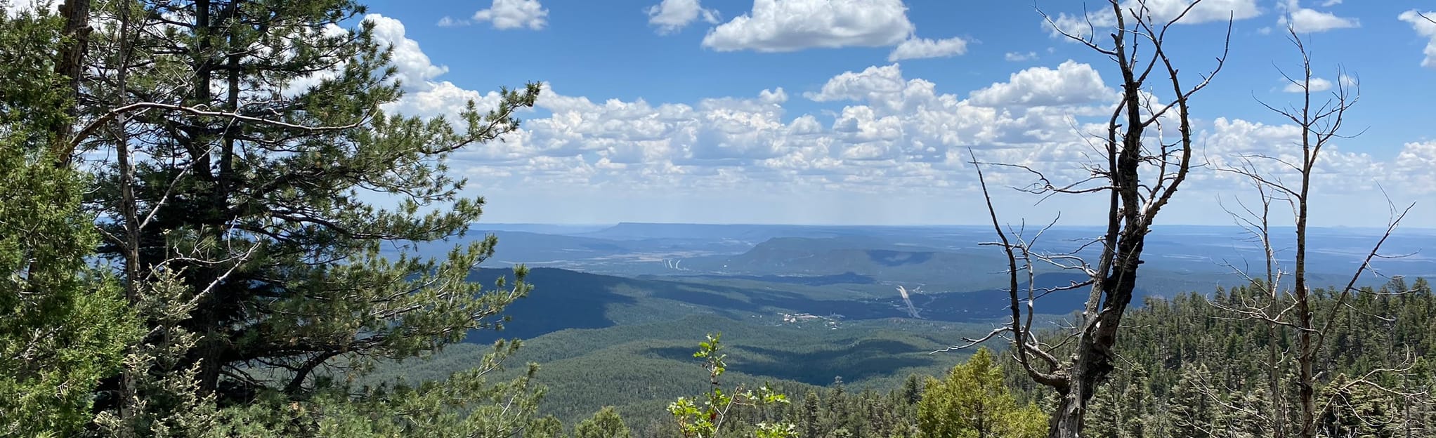 and Pinon Trail to Glorieta Baldy, New Mexico 15 Reviews, Map AllTrails