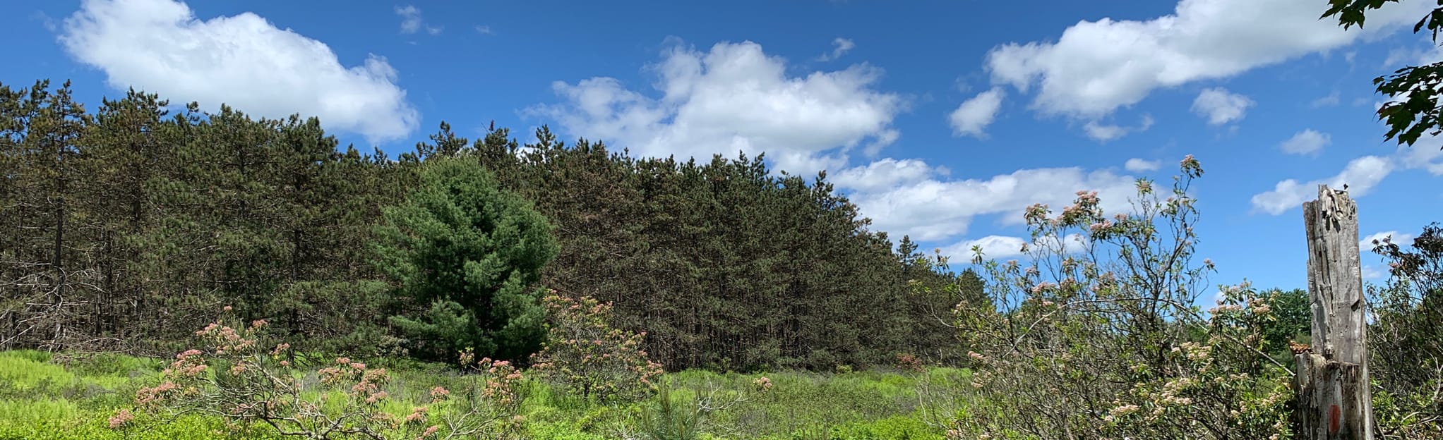 Chuck Keiper Trail West Loop Map, Guide Pennsylvania AllTrails