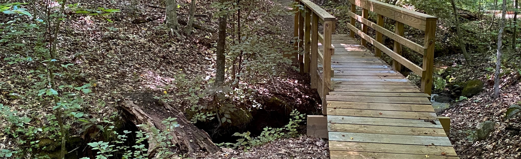 Rich Fork MultiUse Trail, North Carolina 343 Reviews, Map AllTrails