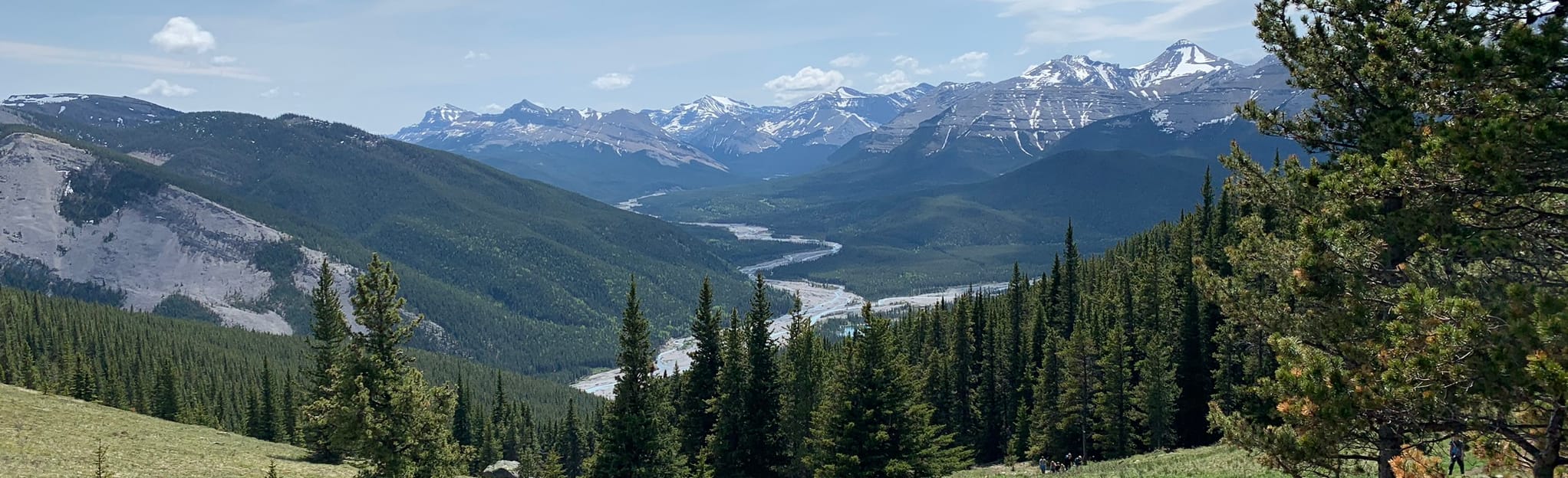 Powderface Ridge Trail, Alberta, Canada 539 Reviews, Map AllTrails