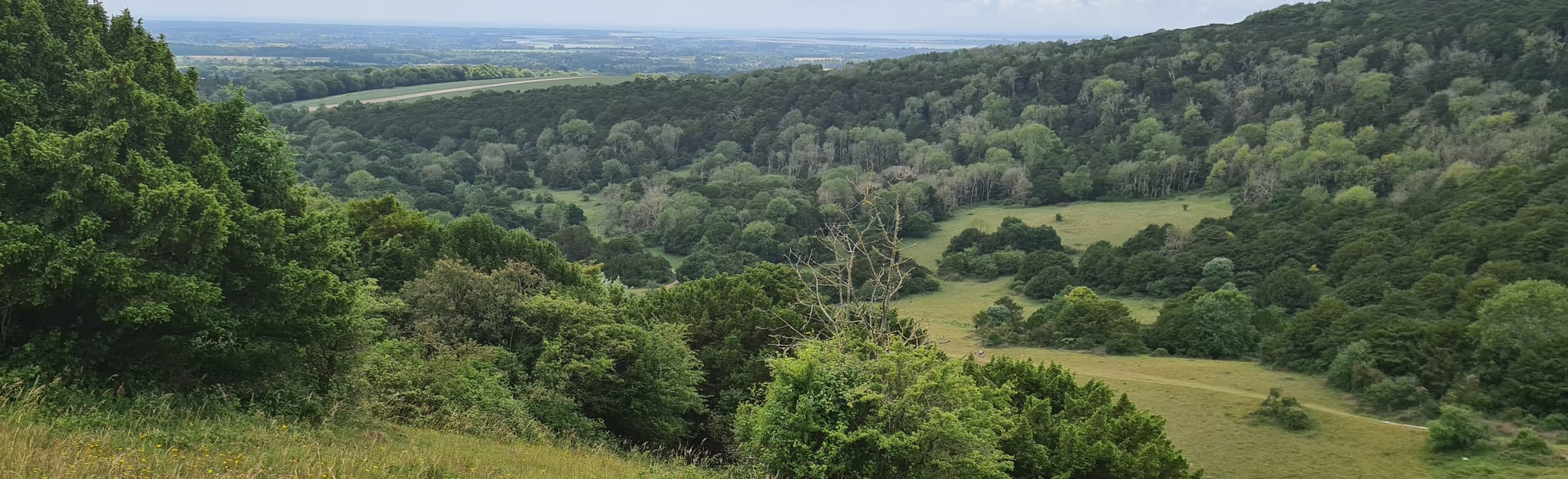 Stoughton and Kinglet Vale Circular 419 foto's West Sussex, England AllTrails