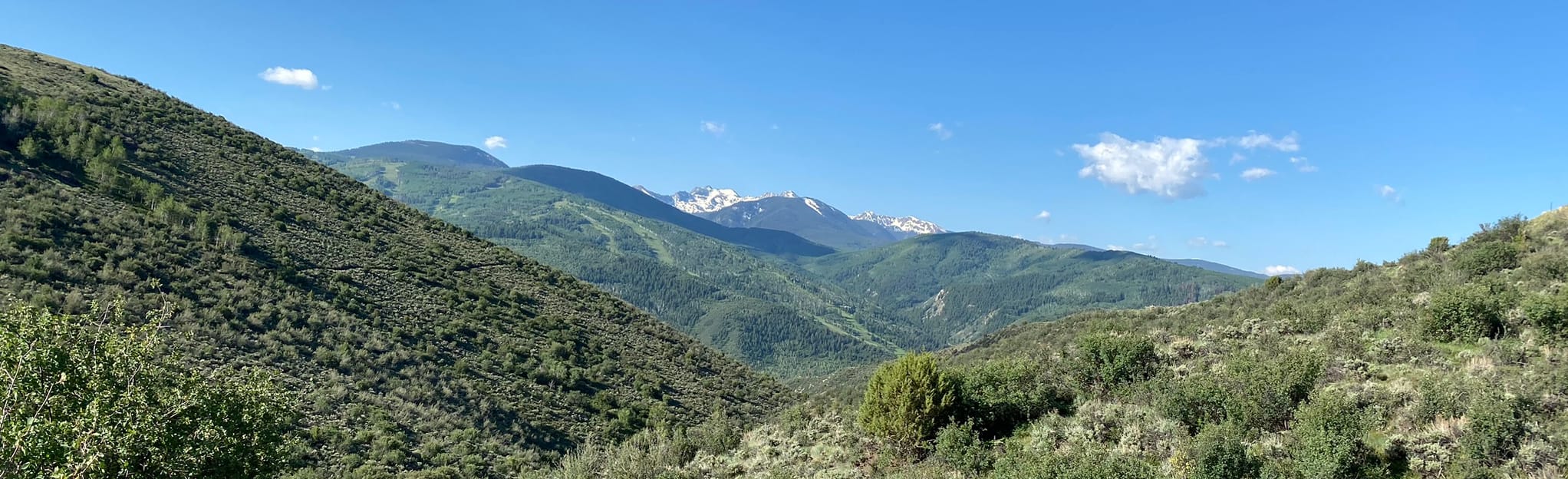 Avon Preserve June Creek Loop 17 Reviews, Map Colorado AllTrails