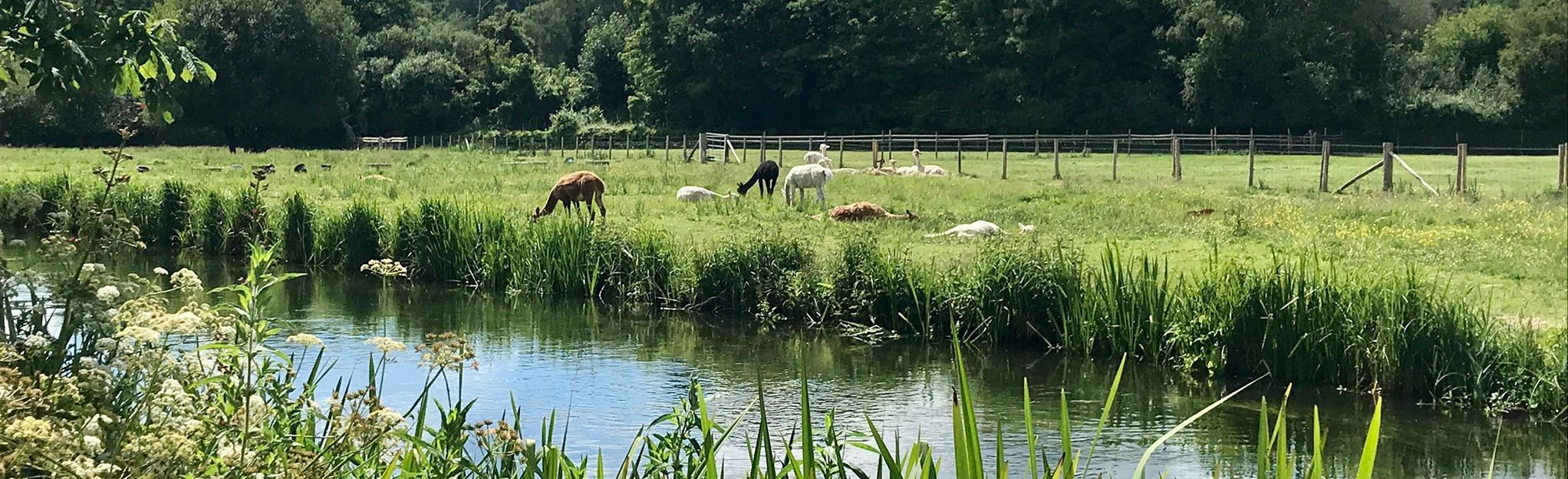 itchen-river-walk-southampton-to-winchester-hampshire-england-201