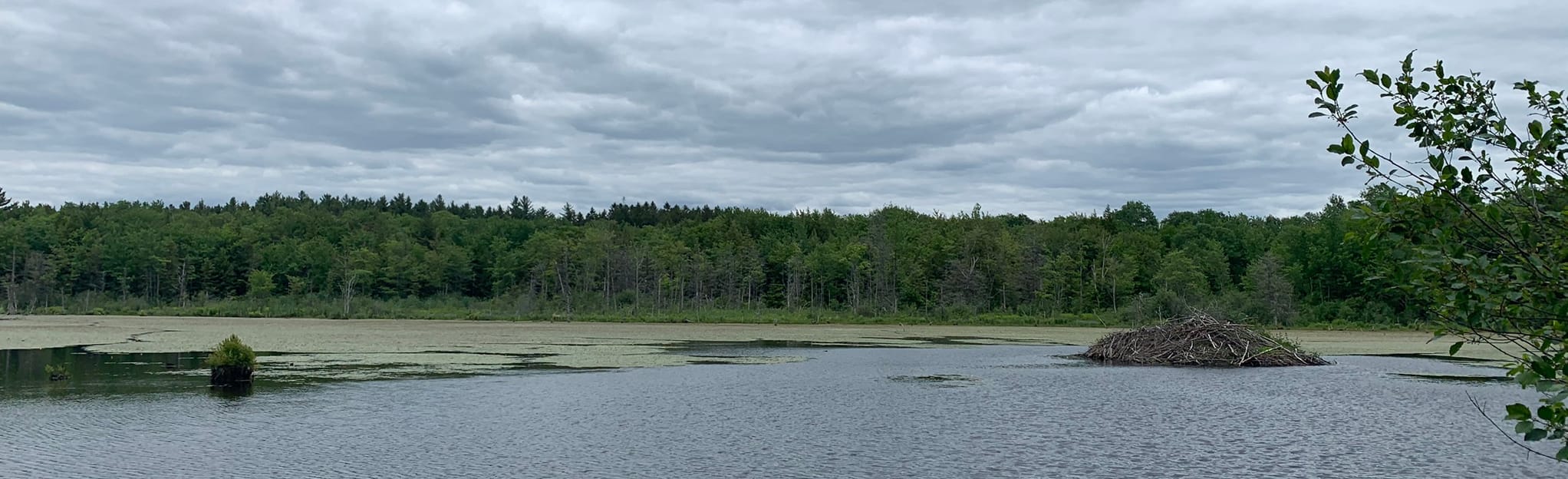 Winona Way and Bill's Belly Loop New York AllTrails