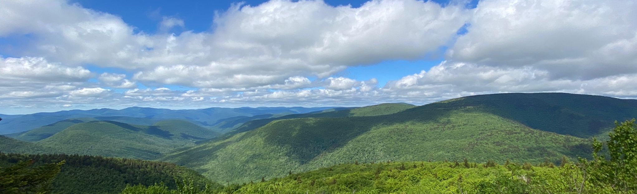 Plateau Mountain , New York - 494 Reviews, Map | AllTrails