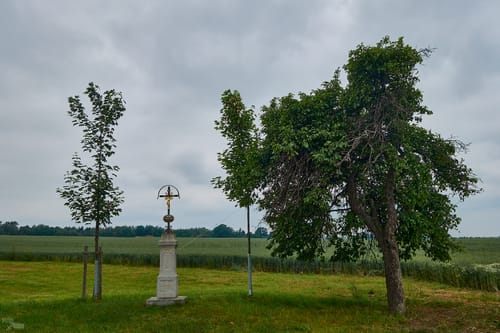 Rund um die Oberlausitzer Heide- und Teichlandschaft
