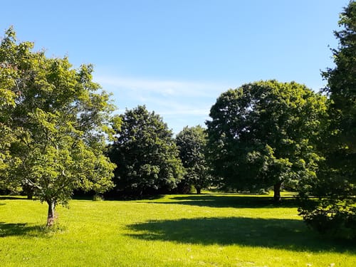 GUELPH ONTARIO CANADA visual data 6