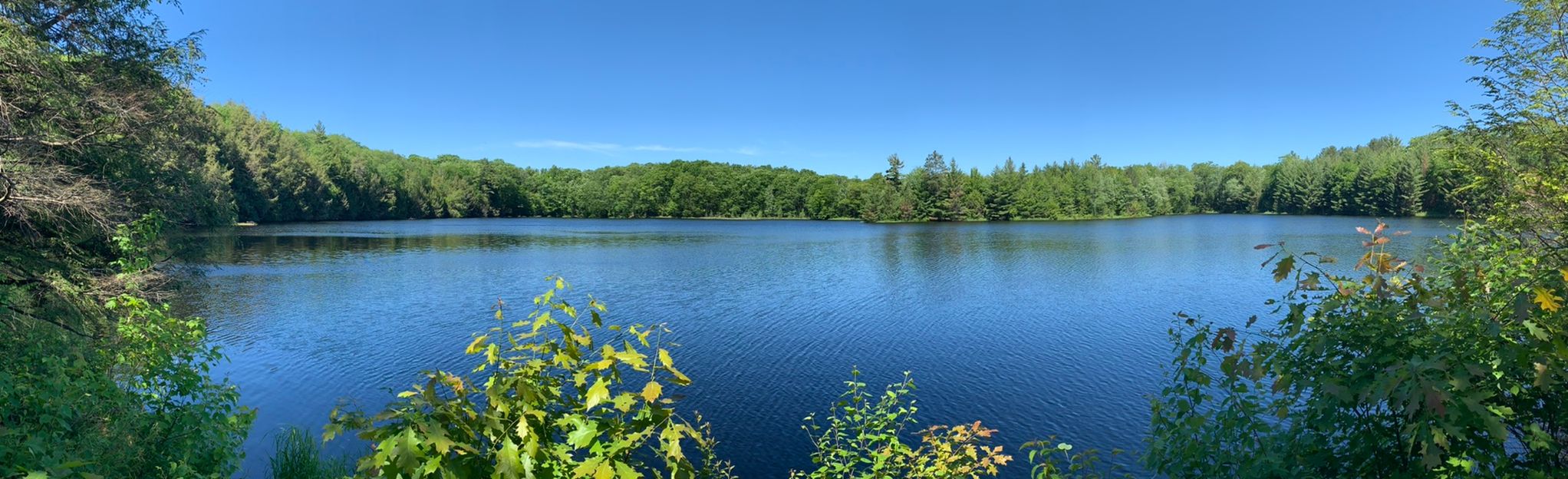 Jack Lake Campground Nature Trail: 78 foto - Wisconsin | AllTrails