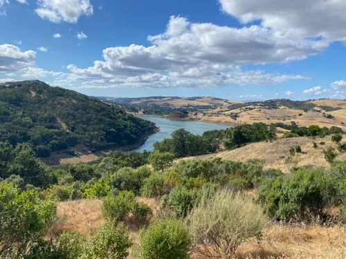 Calero mountain best sale bike trail