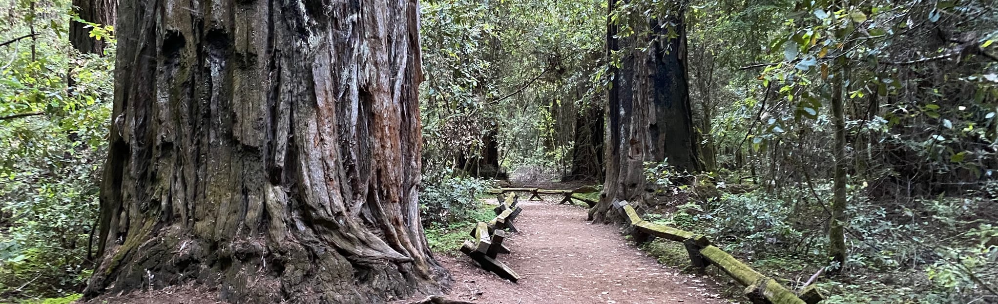 East Ridge, Waterfall, and Pioneer Nature Trail [CLOSED]: 430 Reviews ...