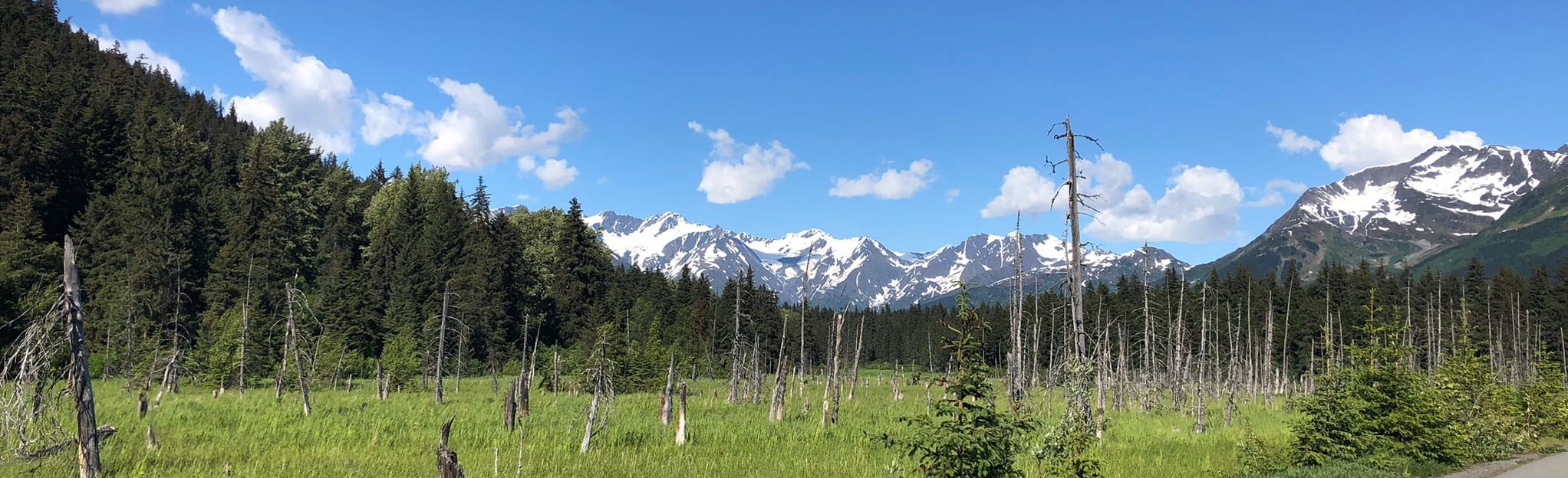 Bird Point to Girdwood, Alaska - 39 Reviews, Map | AllTrails