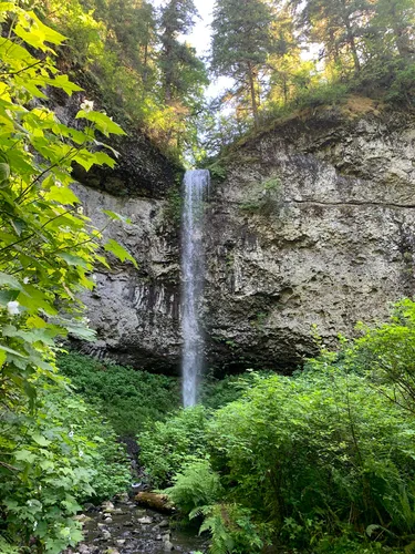 Best hikes in 2025 siuslaw national forest