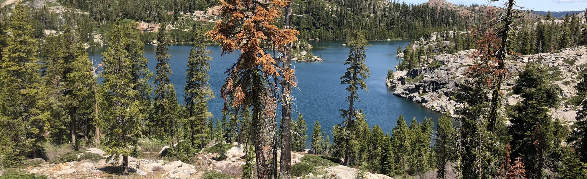Sand Ridge and Lindsey Lakes Loop California AllTrails