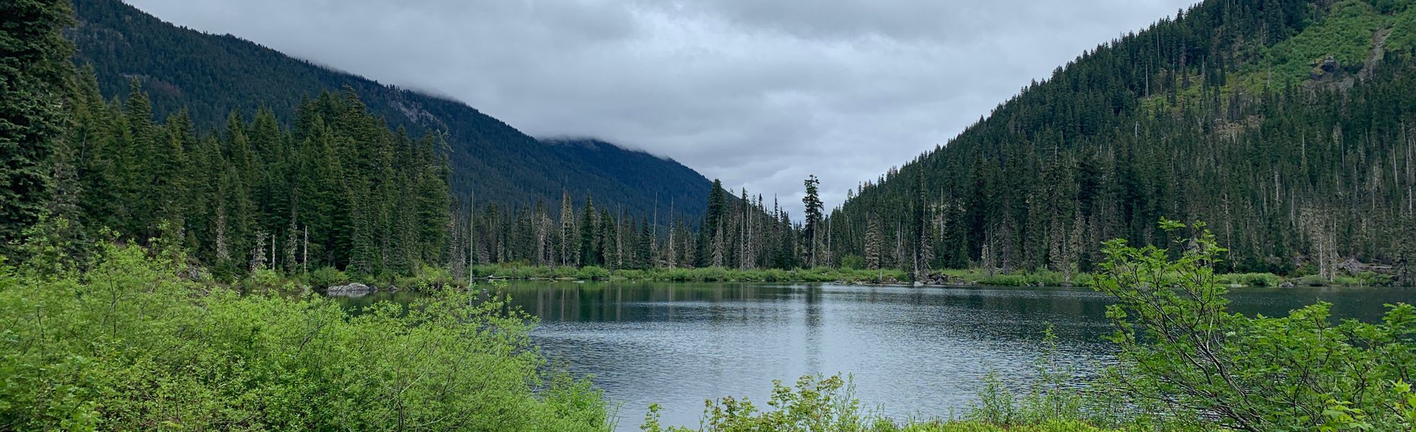 Pete Lake, Washington - 639 Reviews, Map | AllTrails