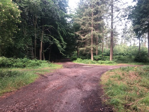 Kleine Runde am Gartroper Mühlenbach