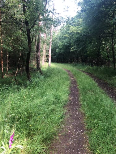 Kleine Runde am Gartroper Mühlenbach