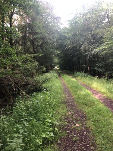 Kleine Runde am Gartroper Mühlenbach