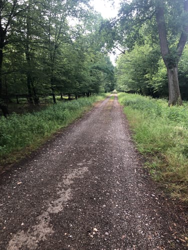 Kleine Runde am Gartroper Mühlenbach