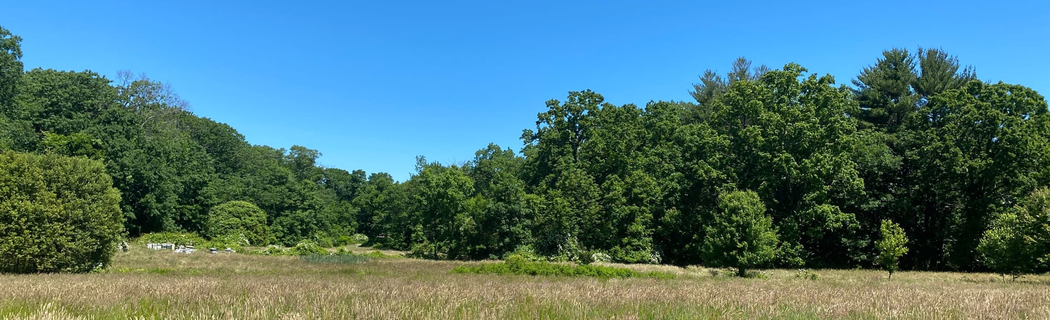 Wheel Wright Holly Hill Loop, Massachusetts 105 Reviews, Map AllTrails