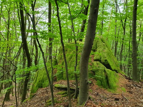 Rabenfels und Ringstein