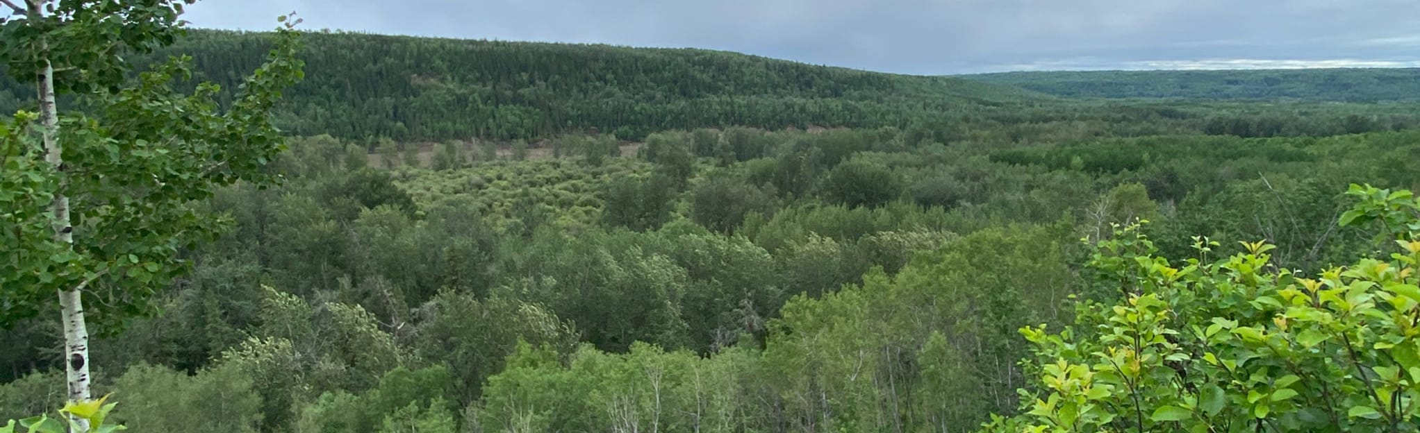 Old Bezanson Townsite, Alberta, Canada 10 Reviews, Map AllTrails