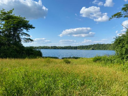 are dogs allowed at eagle creek park