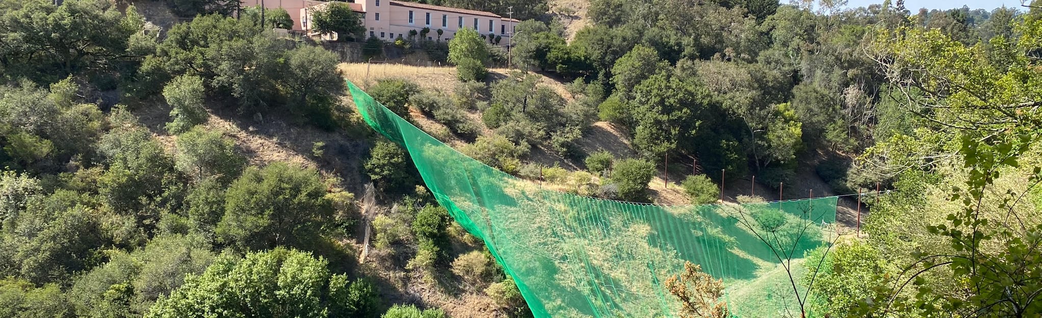 Dimond Canyon Bridgeview Trail: 458 Reviews, Map - California | AllTrails