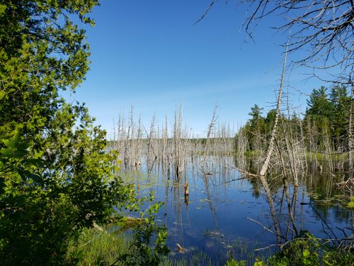 2023 Best 10 River Trails in Bruce Peninsula National Park | AllTrails