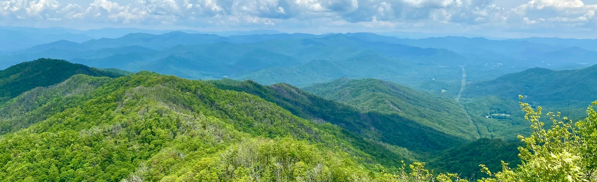 Wesser Bald Fire Tower via Appalachian Trail, North Carolina 954