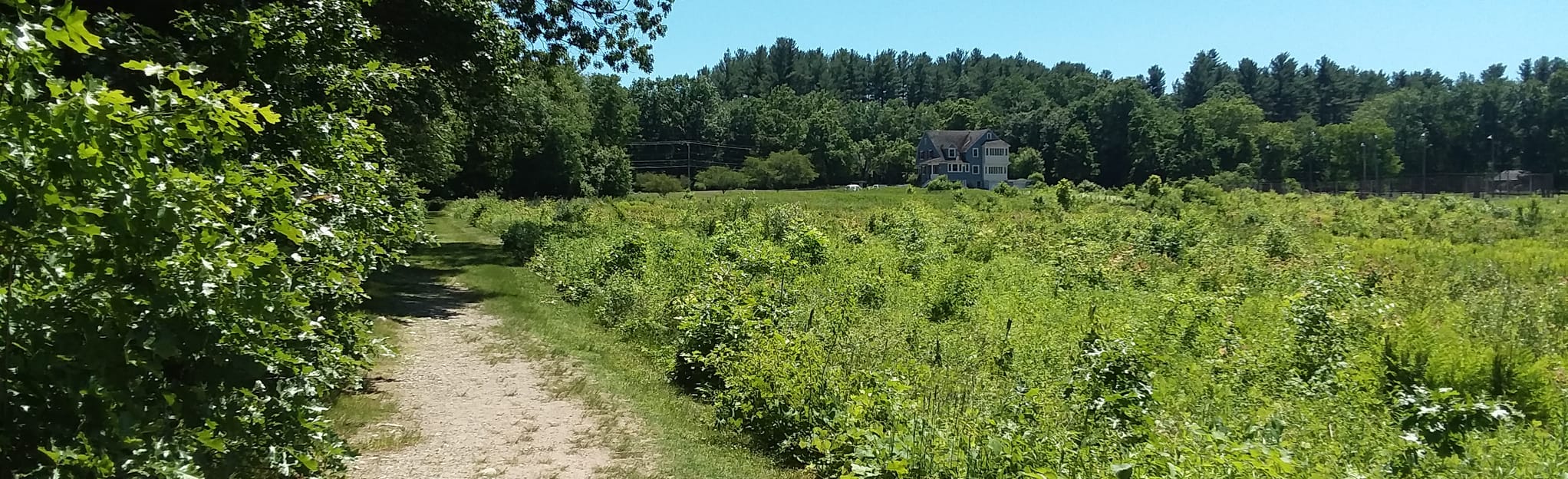 Sherburne Nature Center Loop 218 Reviews, Map Massachusetts AllTrails