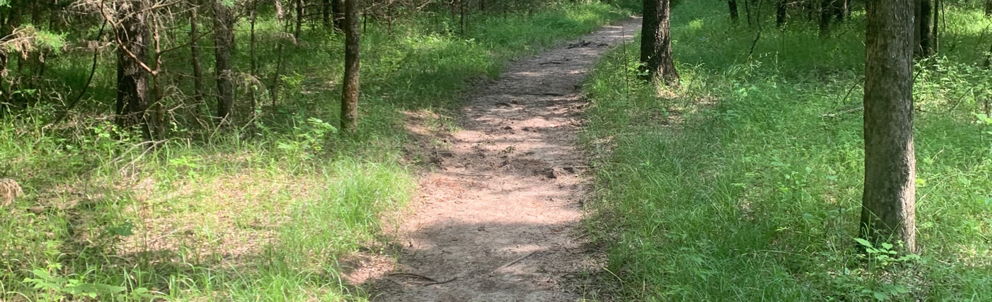 Burns Equestrian Trail, Arkansas 67 Reviews, Map AllTrails