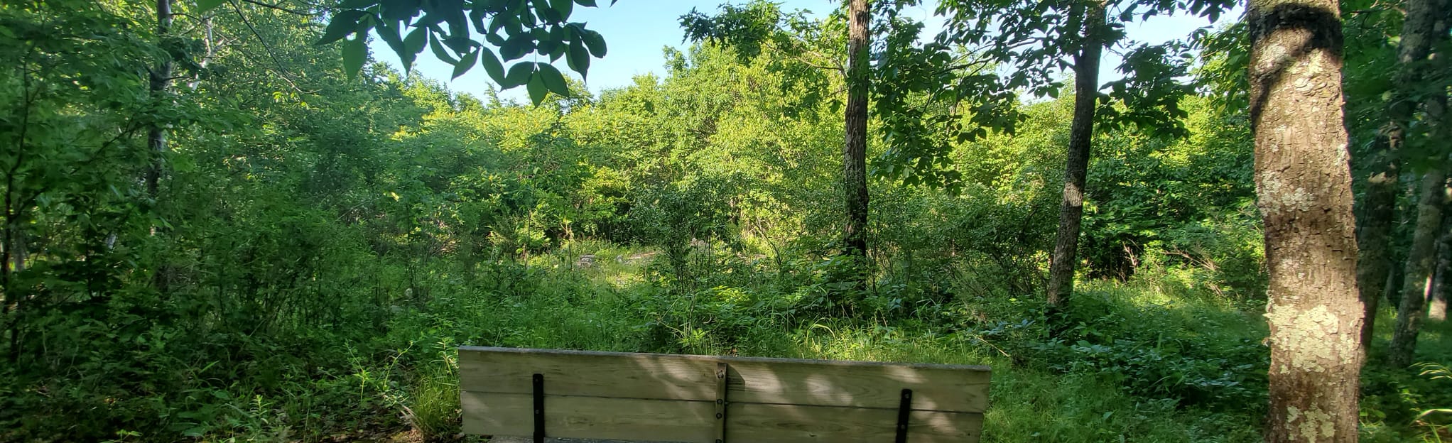 Roaring Brook Orange Trail and Brewster Trail Loop 26 fotos