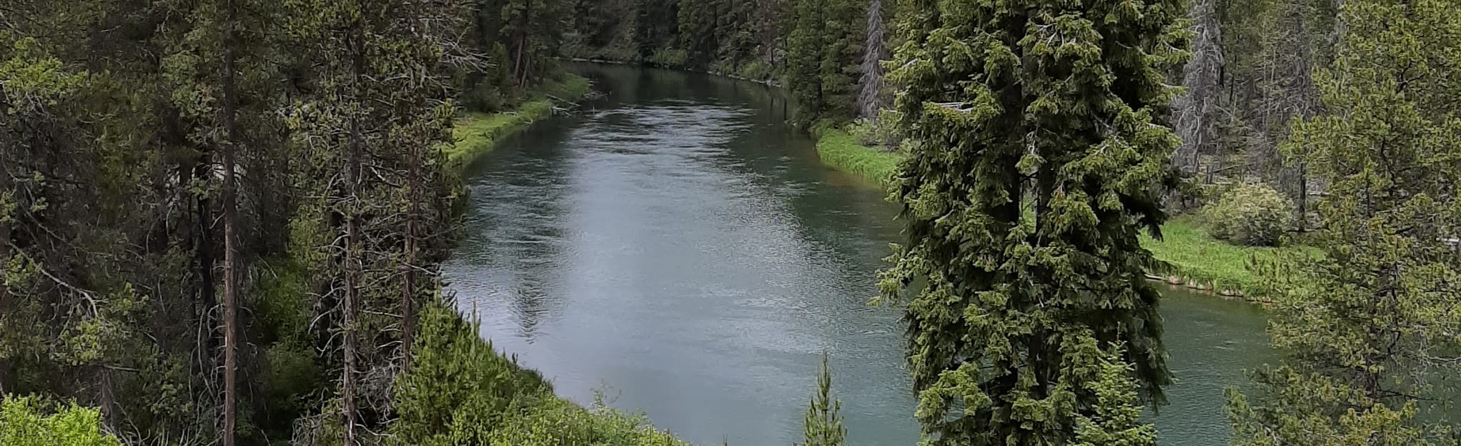 Deschutes River Trail Skyline - EyJidWNrZXQiOiJhc3NldHMuYWxsdHJhaWxzLmNvbSIsImtleSI6InVwbG9hZHMvcGhvdG8vaW1hZ2UvMjcxMDcxNDIvOTA0MjFhNDM0ZTEwZjI3N2UyNDJkNDk0ZmI4OTZjODQuanBnIiwiZWRpdHMiOnsidG9Gb3JtYXQiOiJqcGVnIiwicmVzaXplIjp7IndpZHRoIjoyMDQ0LCJoZWlnaHQiOjYyNCwiZml0IjoiY292ZXIifSwicm90YXRlIjpudWxsLCJqcGVnIjp7InRyZWxsaXNRdWFudGlzYXRpb24iOnRydWUsIm92ZXJzaG9vdERlcmluZ2luZyI6dHJ1ZSwib3B0aW1pc2VTY2FucyI6dHJ1ZSwicXVhbnRpc2F0aW9uVGFibGUiOjN9fX0=