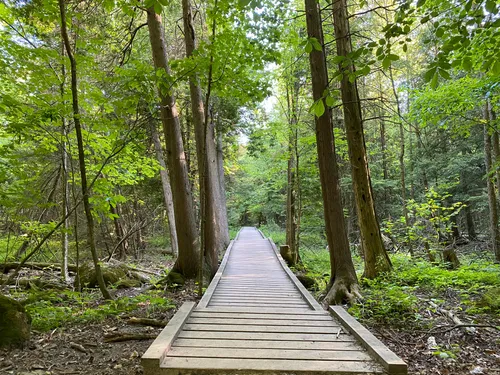 Best Moderate Trails in Rattlesnake Point Conservation Area | AllTrails