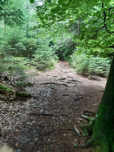 Egglburger See Trail
