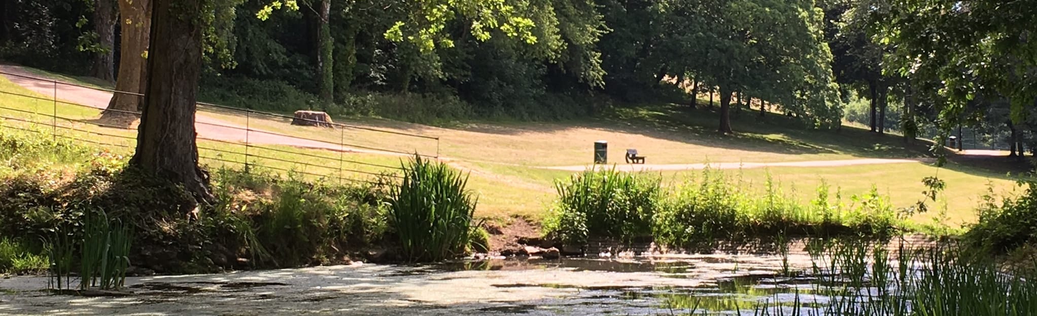 Pontypool Park, Folly, and American Gardens Circular Torfaen, Wales