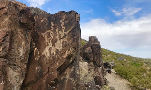 Las mejores rutas para ver flores silvestres en Chihuahua en 2023 |  AllTrails