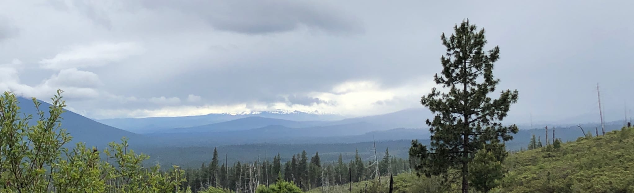 Sheep Springs to Abbot Butte, Oregon 7 Reviews, Map AllTrails