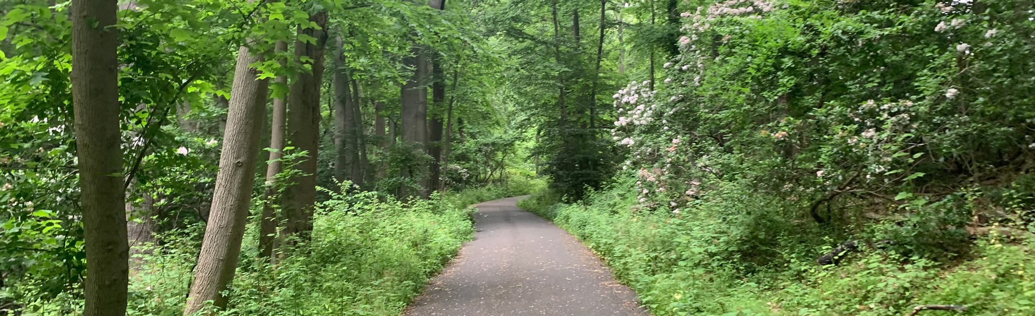 Bunker Loop, New Jersey 36 Reviews, Map AllTrails