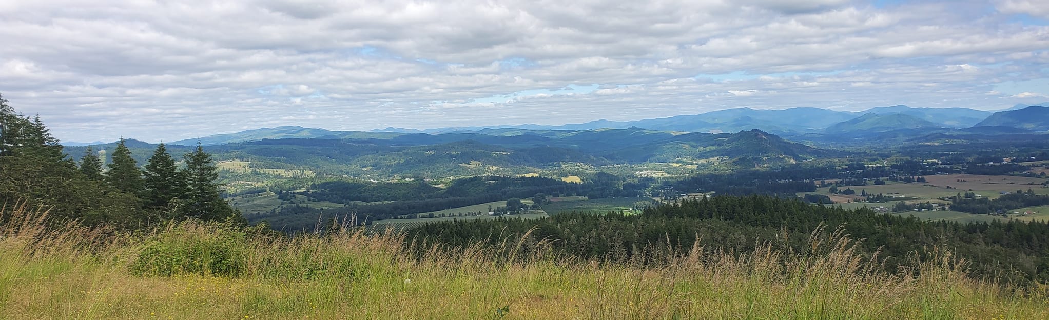 Mt Pisgah via Creek Trail 35 - EyJidWNrZXQiOiJhc3NldHMuYWxsdHJhaWxzLmNvbSIsImtleSI6InVwbG9hZHMvcGhvdG8vaW1hZ2UvMjcxMjU4NDEvOTgwNzg2NjA1MWFmOWJjZDkyZDlhMTI5OWY3MTg2MDAuanBnIiwiZWRpdHMiOnsidG9Gb3JtYXQiOiJqcGVnIiwicmVzaXplIjp7IndpZHRoIjoyMDQ0LCJoZWlnaHQiOjYyNCwiZml0IjoiY292ZXIifSwicm90YXRlIjpudWxsLCJqcGVnIjp7InRyZWxsaXNRdWFudGlzYXRpb24iOnRydWUsIm92ZXJzaG9vdERlcmluZ2luZyI6dHJ1ZSwib3B0aW1pc2VTY2FucyI6dHJ1ZSwicXVhbnRpc2F0aW9uVGFibGUiOjN9fX0=