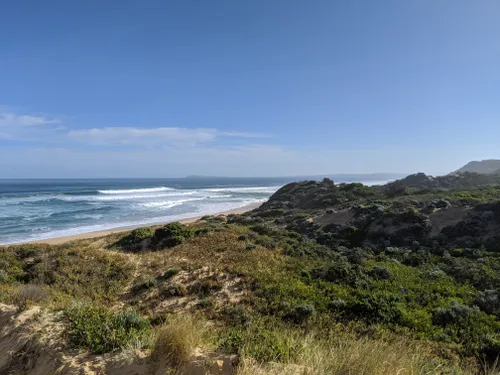 10 Best Walking Trails In Kilcunda Harmers Haven Coastal Reserve