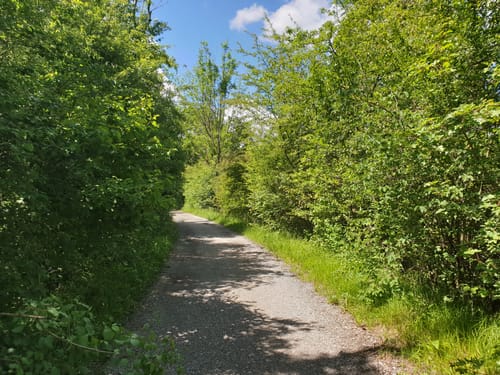 Lerchenauer See - Füsselgraben - Allacher Forst
